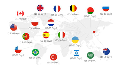 Noir Punk Skull Motif Tote