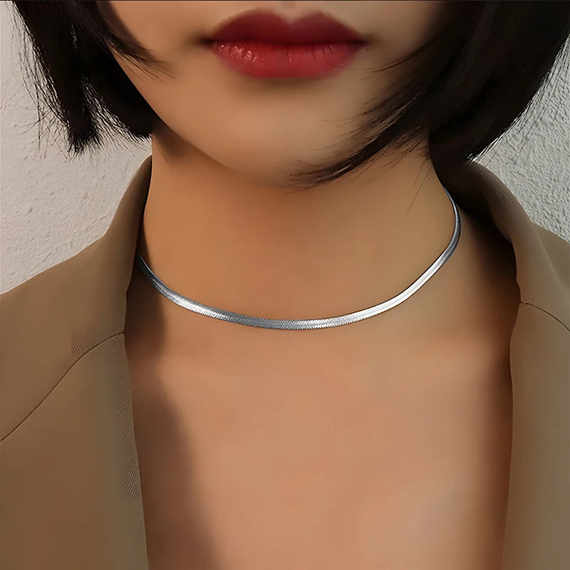 Double Layer Snake Chain Necklace